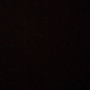 Meet your Posher, Delia